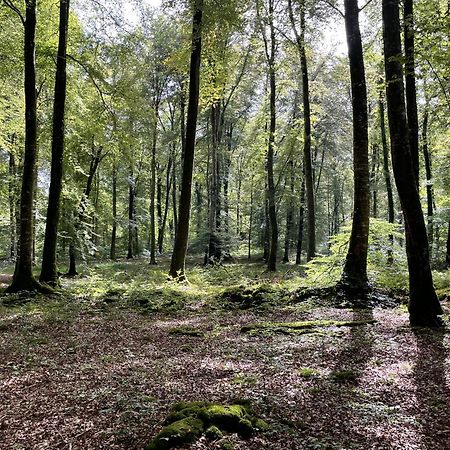 Le Courtil Villa Cerisy-la-Foret Eksteriør bilde
